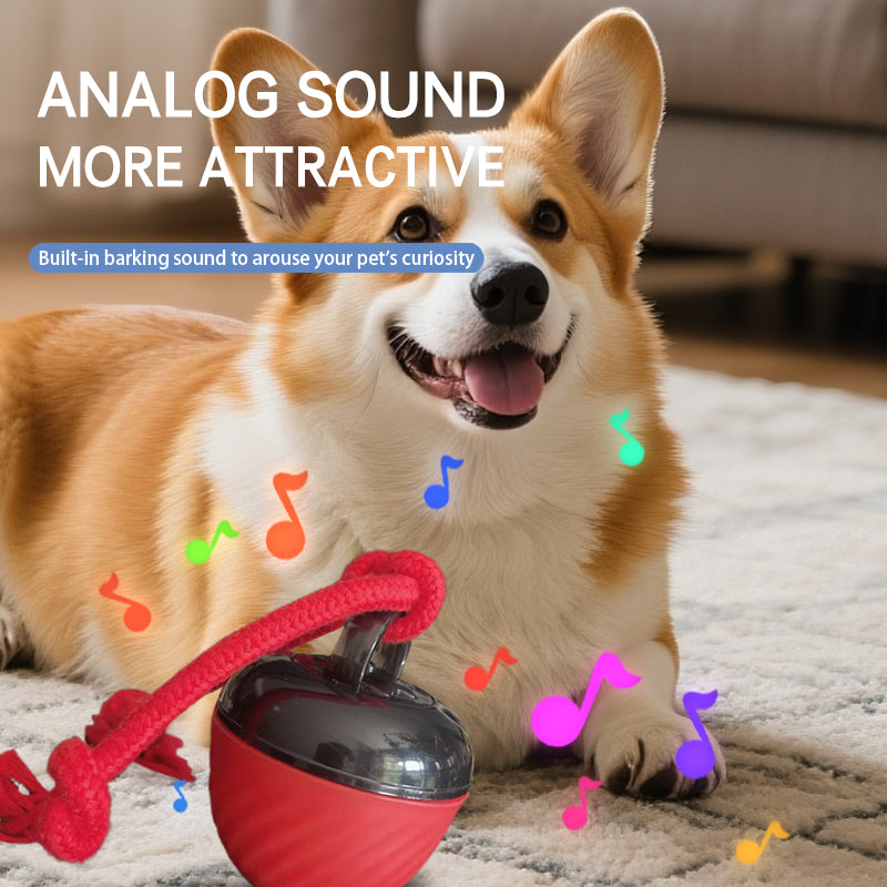 Automatic Moving Ball for Dogs & Cats - USB Rechargeable
