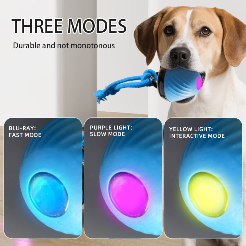 Automatic Moving Ball for Dogs & Cats - USB Rechargeable