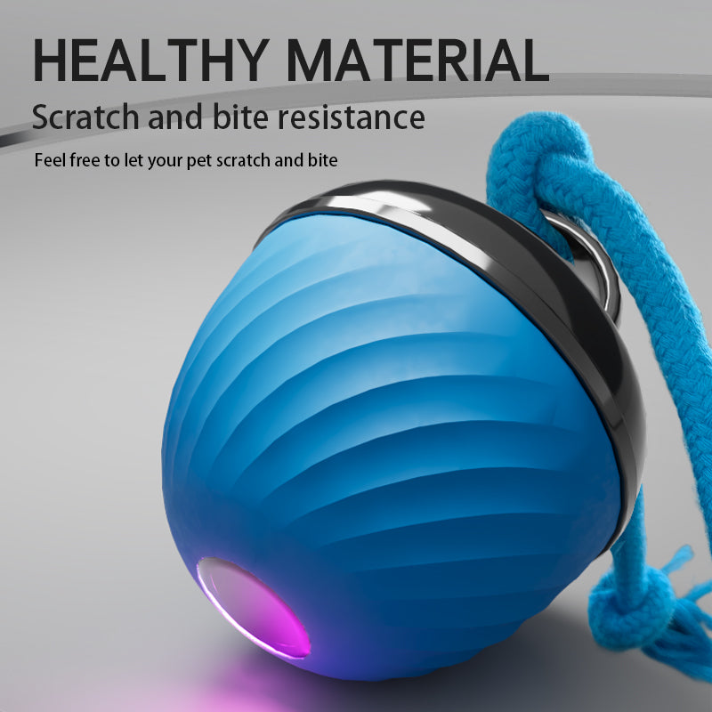 Automatic Moving Ball for Dogs & Cats - USB Rechargeable