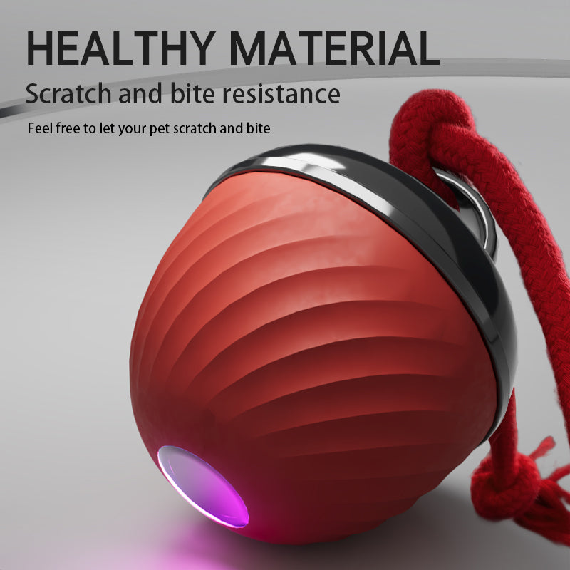 Automatic Moving Ball for Dogs & Cats - USB Rechargeable