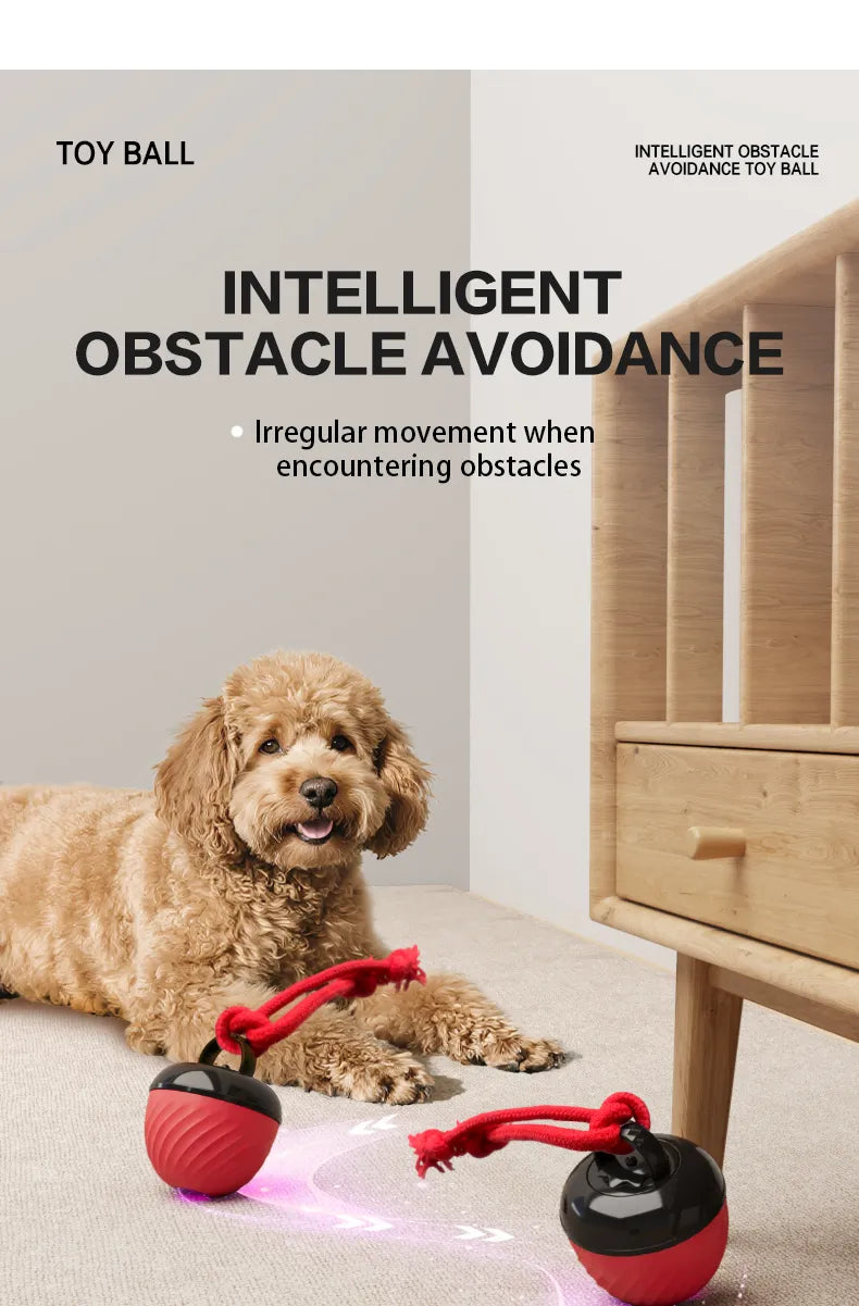 Automatic Moving Ball for Dogs & Cats - USB Rechargeable