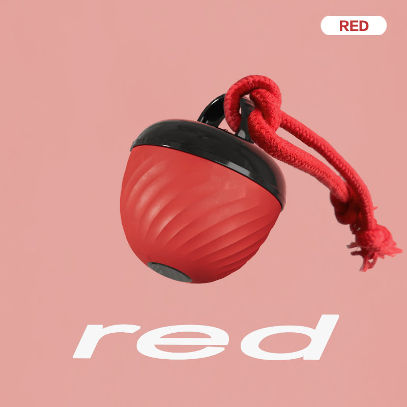 Automatic Moving Ball for Dogs & Cats - USB Rechargeable