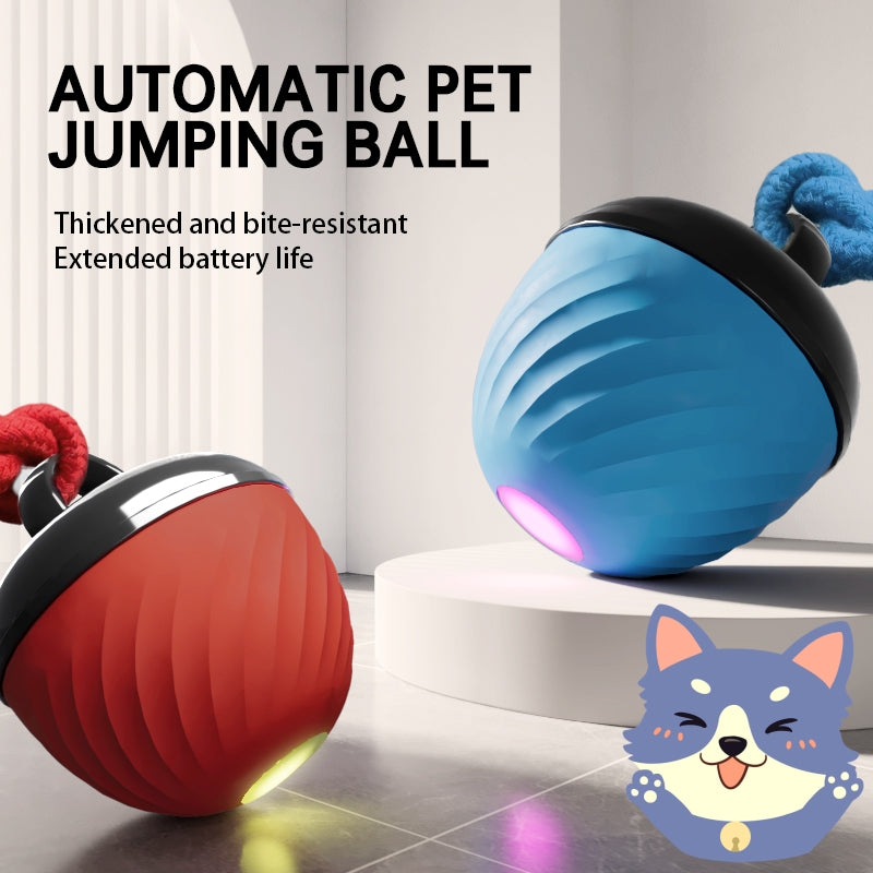Automatic Moving Ball for Dogs & Cats - USB Rechargeable
