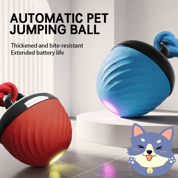 Automatic Moving Ball for Dogs & Cats - USB Rechargeable