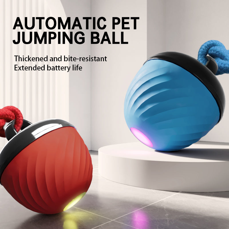 Automatic Moving Ball for Dogs & Cats - USB Rechargeable