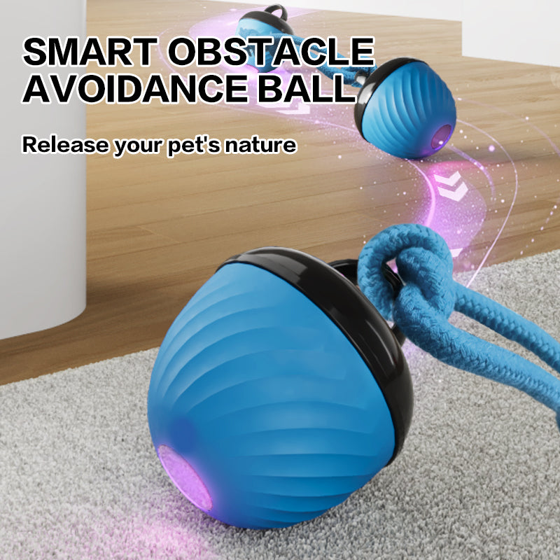 Automatic Moving Ball for Dogs & Cats - USB Rechargeable