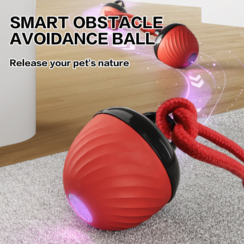 Automatic Moving Ball for Dogs & Cats - USB Rechargeable