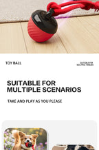 Automatic Moving Ball for Dogs & Cats - USB Rechargeable