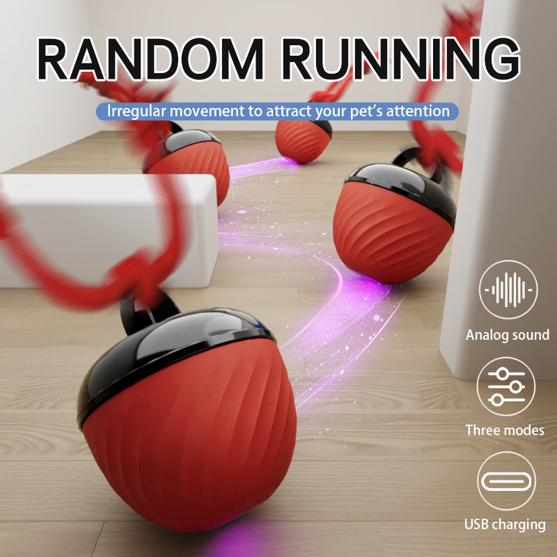 Automatic Moving Ball for Dogs & Cats - USB Rechargeable