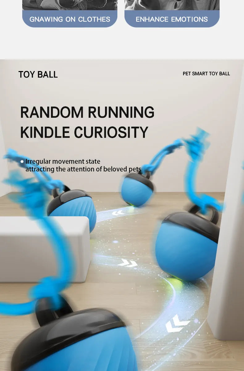 Automatic Moving Ball for Dogs & Cats - USB Rechargeable