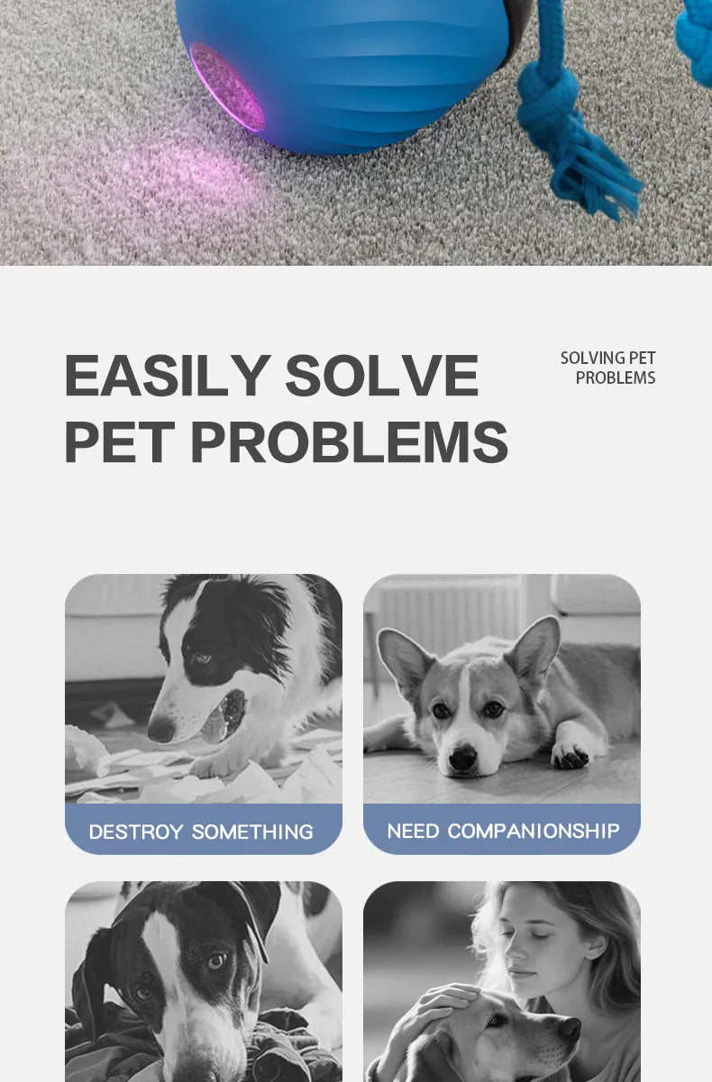 Automatic Moving Ball for Dogs & Cats - USB Rechargeable