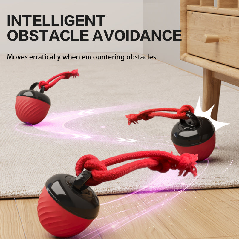 Automatic Moving Ball for Dogs & Cats - USB Rechargeable