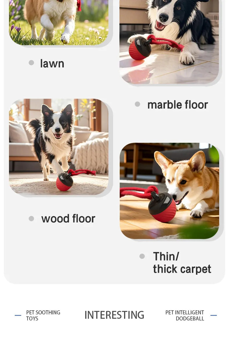 Automatic Moving Ball for Dogs & Cats - USB Rechargeable