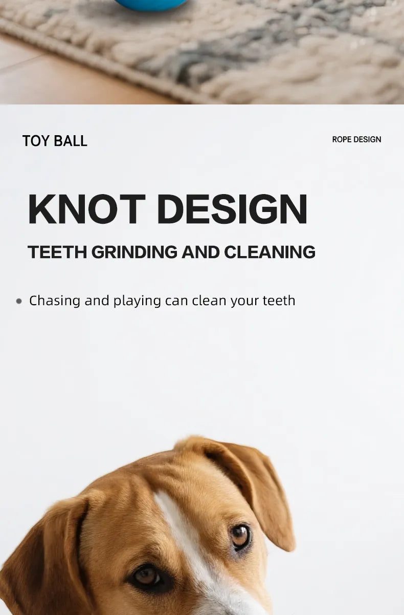 Automatic Moving Ball for Dogs & Cats - USB Rechargeable