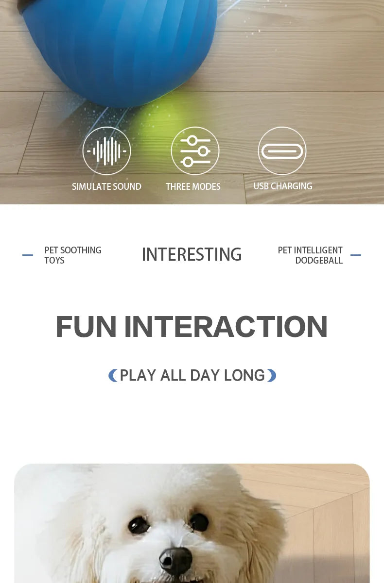 Automatic Moving Ball for Dogs & Cats - USB Rechargeable