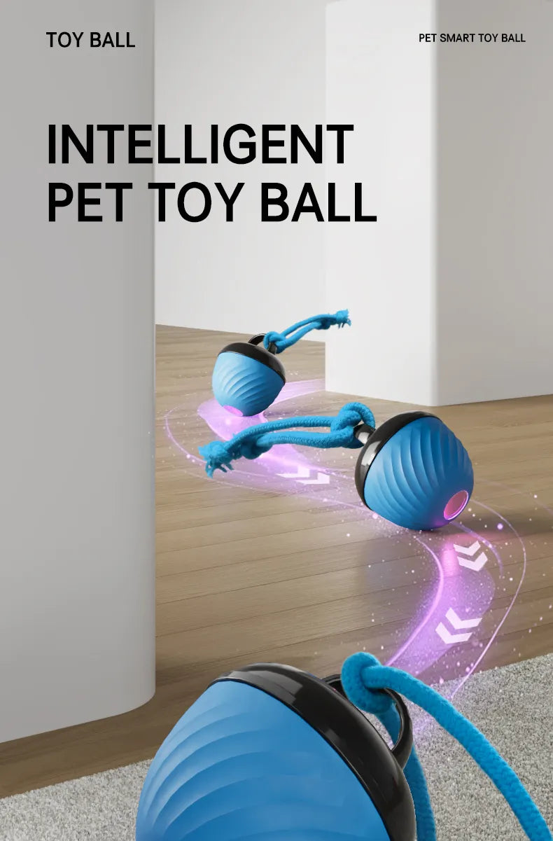 Automatic Moving Ball for Dogs & Cats - USB Rechargeable