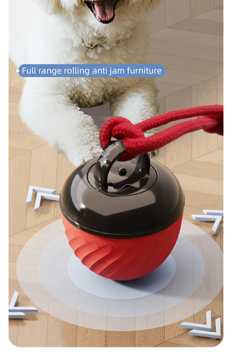 Automatic Moving Ball for Dogs & Cats - USB Rechargeable